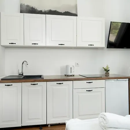 Apartment Cosy Studios Very Berry In Poznan Close To The Park By Noclegi Renters Poznan